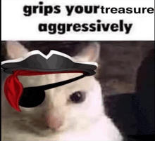 a white cat wearing a pirate hat and an eye patch