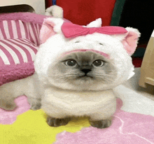 a cat wearing a pink bow on its head