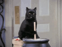 a black cat is sitting on top of a cauldron with a wooden stick in it .