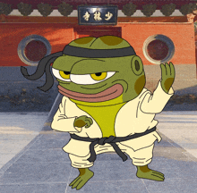 a cartoon of a frog wearing a karate uniform with chinese writing on it