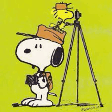 a cartoon of snoopy and woodstock taking a picture with a camera .