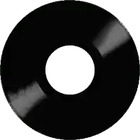 a black record with a white circle in the center