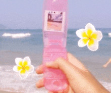 a person is holding a pink flip phone on the beach with flowers in the background .