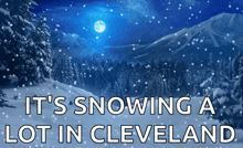 a snowy landscape with the words " it 's snowing a lot in cleveland "