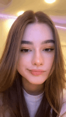 a close up of a woman 's face with long brown hair