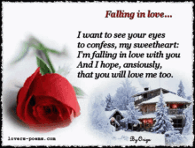 a poem about falling in love is displayed with a red rose