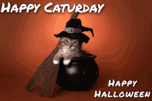 a cat wearing a witch hat is sitting in a cauldron with a broom