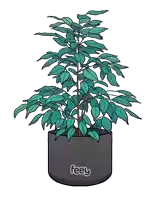 a drawing of a plant in a black pot that says feey