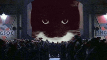 a large black and white cat is being projected onto a crowd of people