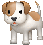 a brown and white dog is standing on a white background and looking at the camera .