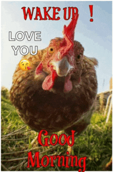 a picture of a chicken with the words wake up love you good morning written on it