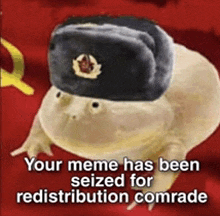 a picture of a frog wearing a russian hat with the caption your meme has been seized for redistribution comrade