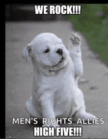 a picture of a puppy with the caption " we rock "