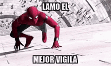 a spider-man is crawling on the ground with a caption that says lamo el mejor vigila .