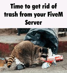 a raccoon standing next to a trash can with the words time to get rid of trash from your fivem server