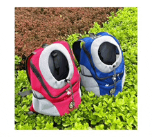 a red and a blue backpack are sitting on top of a lush green lawn .