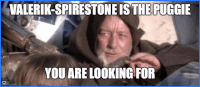 a picture of an old man with a caption that says " valerik-spirostone is the puggie you are looking for "