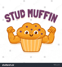 a cartoon muffin with muscles and the word stud muffin