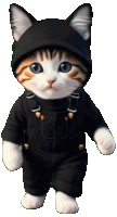 a cat wearing overalls and a black hat is standing on a white background