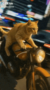 a cat is sitting on a yellow motorcycle with a tiktok watermark