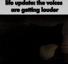 a picture of a cat with the words life updates the voices are getting louder