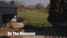 a man walking in a field with the words " on the moooove " above him