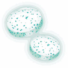 two pieces of gum with blue sprinkles on them on a white background