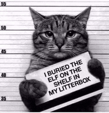 a cat is holding a sign that reads `` i buried the elf on the shelf in my litterbox '' .