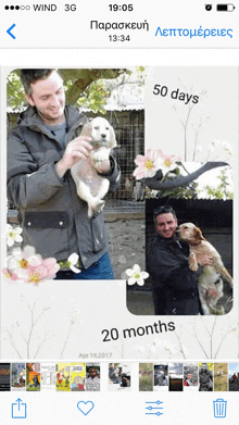 a phone screen shows a picture of a man holding a puppy and the words 50 days