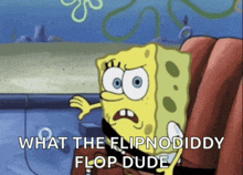 a cartoon of spongebob says what the flipnodiddy flop dude