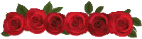 a bunch of red roses with green leaves on a white background