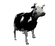 a black and white cow is standing on a white background in a pixel art style .