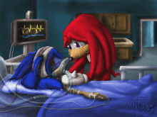 a cartoon drawing of knuckles and sonic in a hospital bed