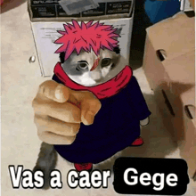 a cat is pointing at the camera with the words vas a caer gege written below it .