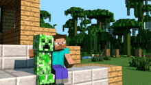 a man and a green creeper in a minecraft world