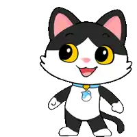 a black and white cat with a blue collar is waving its paw .