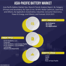 asia-pacific battery market size share & trends analysis report