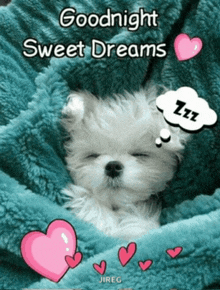 a puppy is sleeping on a blue blanket with hearts and the words goodnight sweet dreams