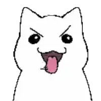 a white cat with a pink tongue sticking out is making a funny face .