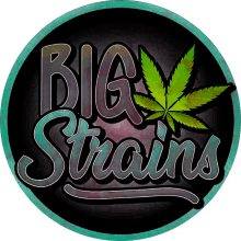 a logo that says big strains with a marijuana leaf