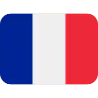 the flag of france is a blue , white and red flag with a white border .