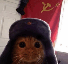 a cat wearing a fur hat with a hammer and sickle on it is standing in front of a red flag .