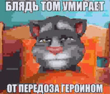 a pixelated image of a cat with a caption in russian