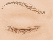 a close up of a woman 's eye with long eyelashes .