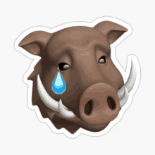 a sticker of a boar with a tear coming out of it 's eye