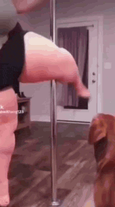 a woman is standing on a pole in a living room with a dog behind her .