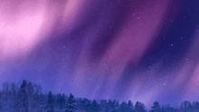 a purple sky with trees in the foreground and the aurora borealis in the background