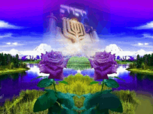 two purple roses are in front of a menorah with the word hebrew on it