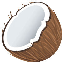 a half of a coconut with a white stripe on the inside