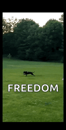 a dog is running through a grassy field with the word freedom written on the bottom